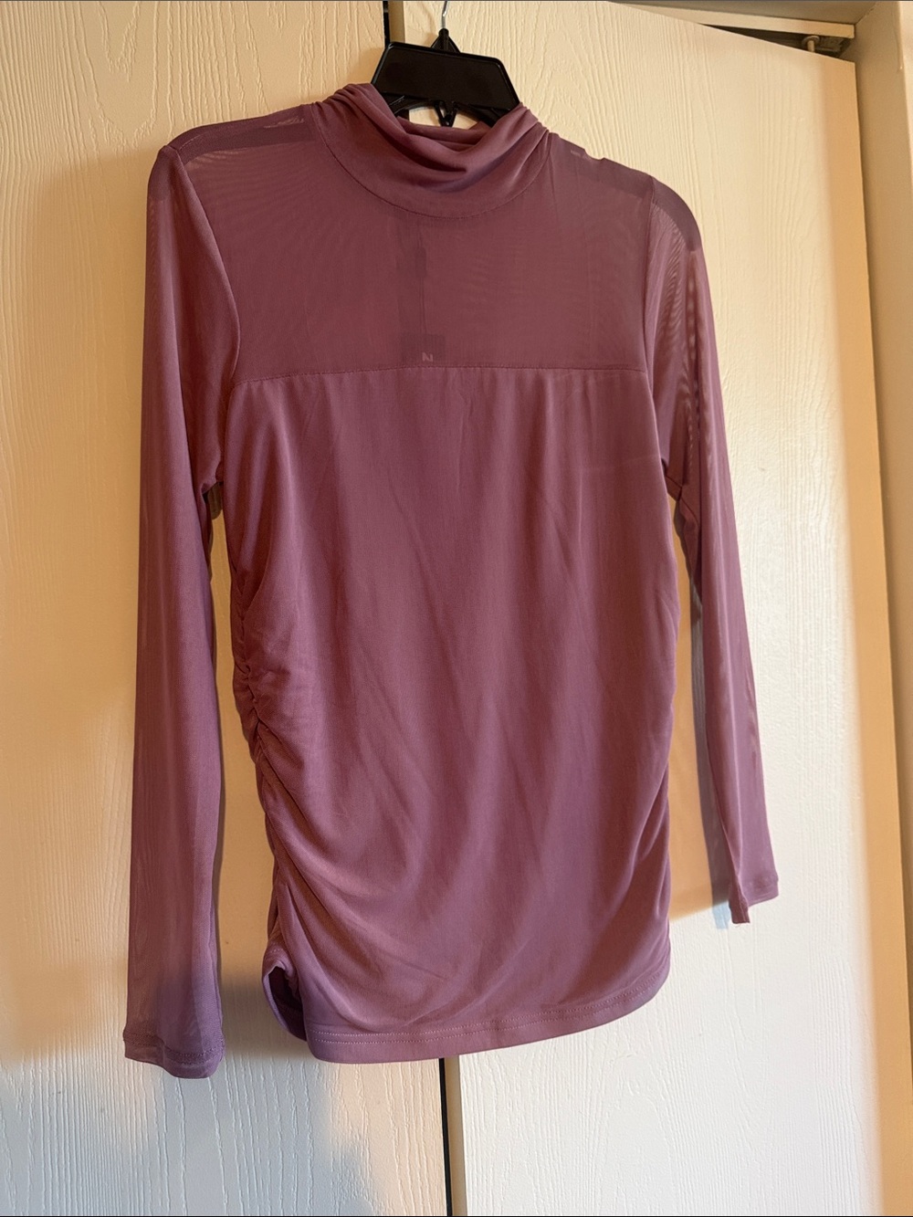zeagoo Long-Sleeve Mock Neck Top in Mauve